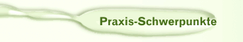 Praxis-Schwerpunkte