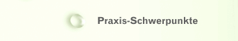 Praxis-Schwerpunkte